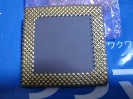 ��������å��ǳ���!